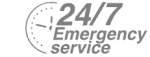24/7 Emergency Service Pest Control in Swiss Cottage, NW3. Call Now! 020 8166 9746