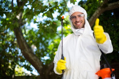24 Hour Pest Control, Pest Control in Swiss Cottage, NW3. Call Now 020 8166 9746